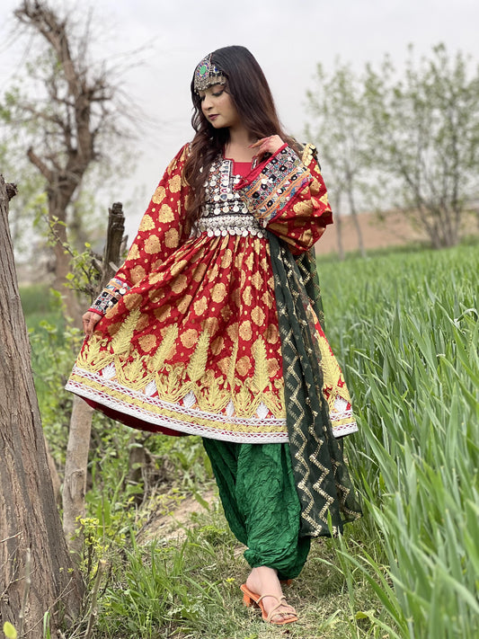Surmaki || سرمکی
